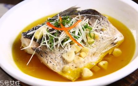 青魚怎么養(yǎng)殖?青魚好養(yǎng)嗎？