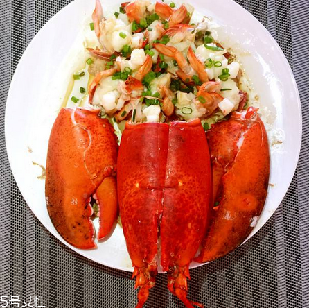 波士頓龍蝦什么季節(jié)最好吃？