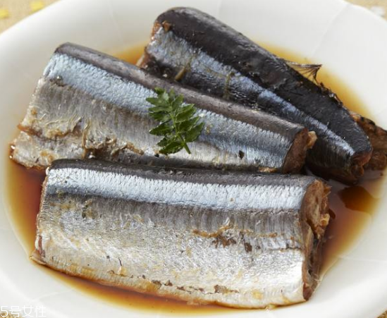 青魚怎么釣？青魚可以用什么餌料？