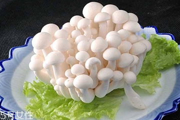 白玉菇和海鮮菇的區(qū)別 白玉菇和海鮮菇是一樣的嗎？