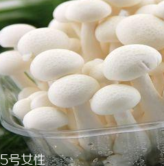 白玉菇的營養(yǎng)價值 白玉菇有什么營養(yǎng)？
