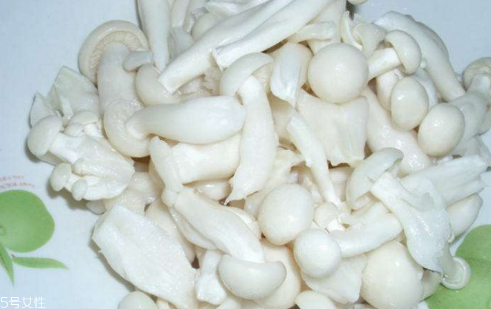 白玉菇為什么是苦的？白玉菇怎么會苦？