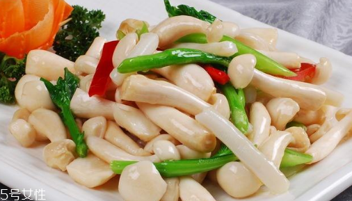 白玉菇的吃法 白玉菇能燉雞嗎？