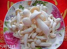 白玉菇能和西紅柿一起吃嗎？白玉菇能和番茄一起吃嗎？
