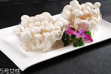 白玉菇長(zhǎng)白毛是怎么回事？白玉菇長(zhǎng)白毛還能吃嗎？