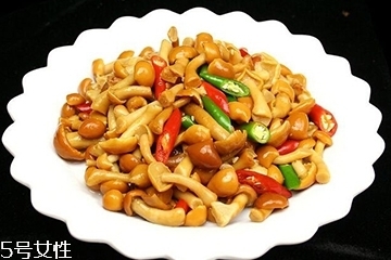滑子菇是什么？滑子菇能吃嗎？