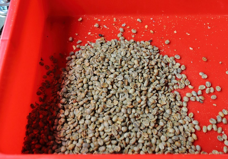 咖啡豆新豆、舊豆、老豆各有什么特色