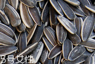 葵瓜子的熱量 葵瓜子會長胖嗎？