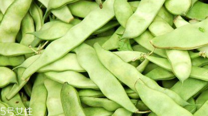 蕓豆是什么？蕓豆是豆角嗎？