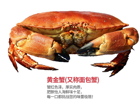 面包蟹肉多嗎？面包蟹幾月份最肥