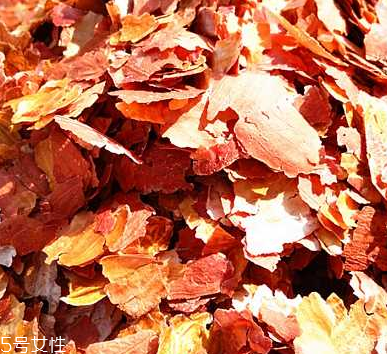 花生衣是什么？花生衣可以吃嗎？