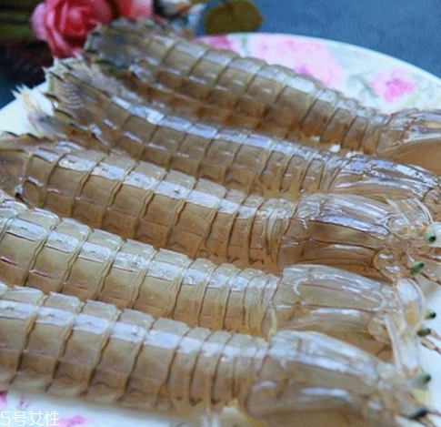 皮皮蝦能長(zhǎng)多大？皮皮蝦最大有多大？
