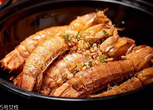 皮皮蝦能長(zhǎng)多大？皮皮蝦最大有多大？