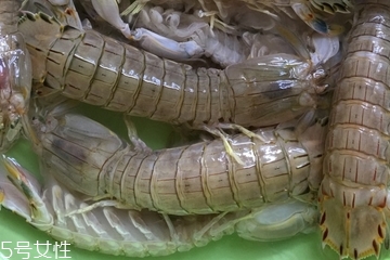 皮皮蝦皮能不能吃？皮皮蝦可以連皮吃嗎？