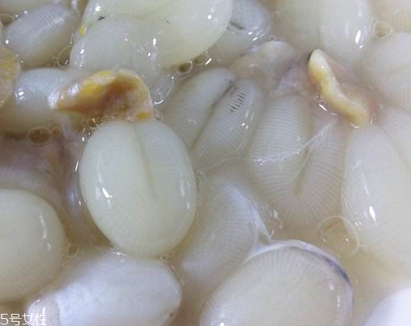 墨魚蛋的做法 墨魚蛋怎么做？