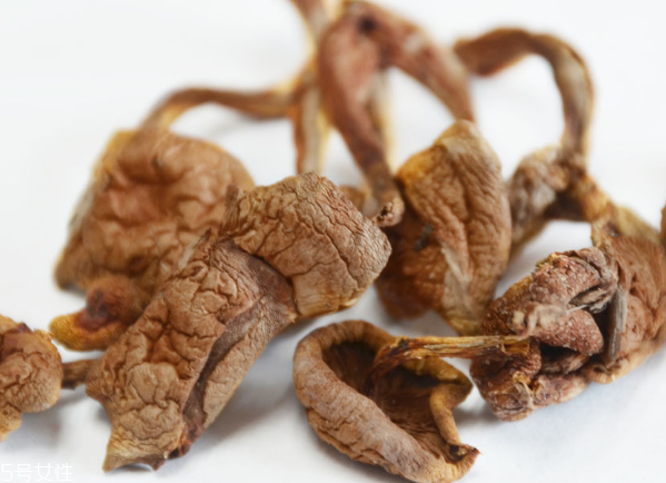 榛蘑和蘿卜相克嗎？榛蘑能不能和蘿卜一起吃？