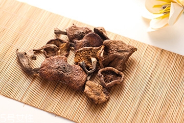 榛蘑是蘑菇嗎？榛蘑是什么蘑菇？