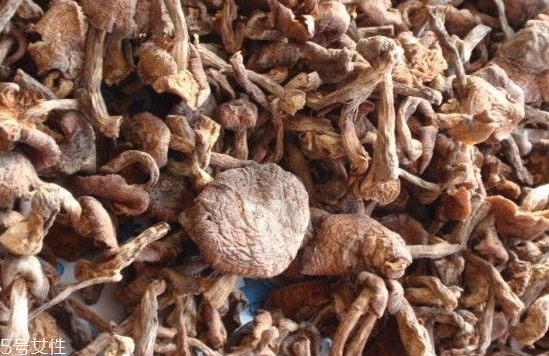 榛蘑和木耳的區(qū)別 榛蘑和木耳能一起吃嗎？