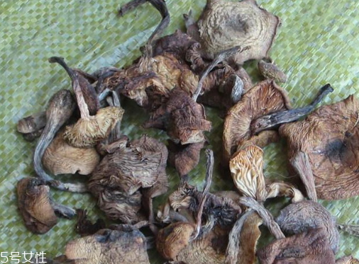 榛蘑能保存多久？干榛蘑怎么保存最好？