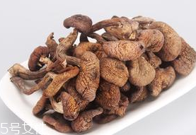 榛蘑的熱量 榛蘑會(huì)讓人長胖嗎