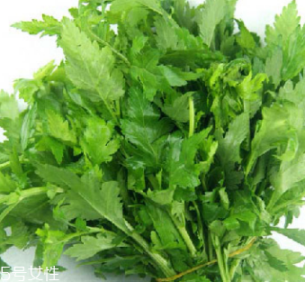 菊花腦是苦的嗎？菊花腦苦不苦？