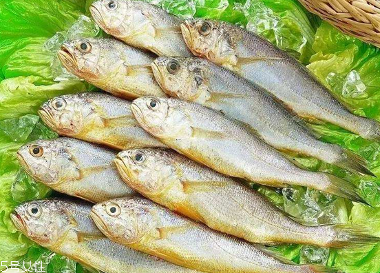 黃花魚去鱗嗎？黃花魚去內臟嗎？