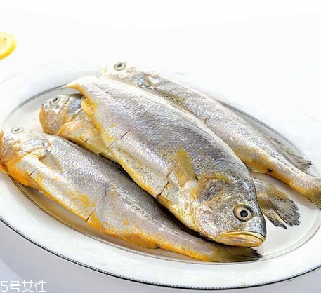 黃花魚為什么都是死的？死黃花魚可以吃嗎？