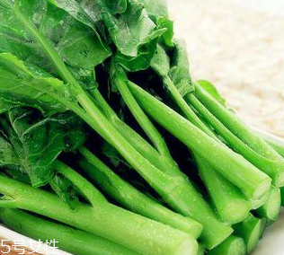 芥蘭是芥菜嗎？芥蘭和芥菜的區(qū)別