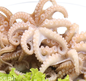章魚是什么顏色？章魚是什么樣子？