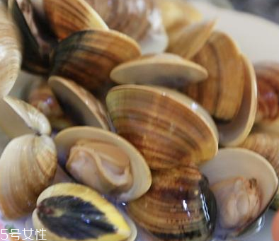 文蛤是海鮮還是河鮮？文蛤是海鮮嗎？