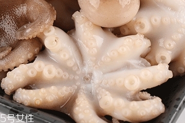 章魚可以炸嗎？章魚能油炸嗎？