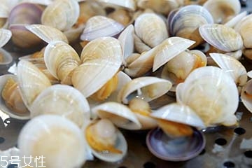 文蛤是淡水還是海水？文蛤是淡水水產(chǎn)嗎？