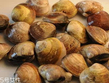 文蛤是冷水煮還是熱水？文蛤是用熱水嗎？