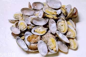 文蛤是冷水煮還是熱水？文蛤是用熱水嗎？