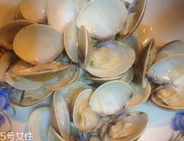 文蛤能給孕婦吃嗎？孕婦能不能吃文蛤？