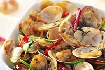 文蛤的價(jià)格 文蛤多少錢一斤？