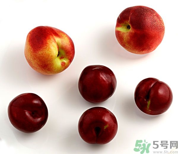 李子和灰子的區(qū)別？灰子的功效與作用