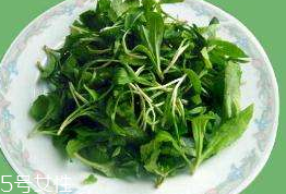 馬蘭頭對人的好處？馬蘭頭有什么好處？
