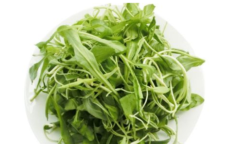 馬蘭頭是馬齒莧嗎？馬蘭頭和馬齒莧的區(qū)別