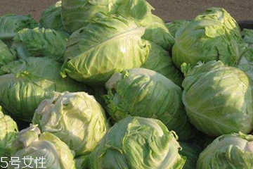 牛心菜是卷心菜嗎？牛心菜和卷心菜的區(qū)別