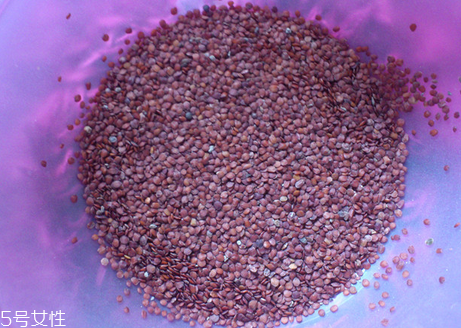 海藻面膜的功效與作用 用海藻面膜有什么好處？