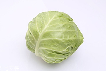牛心菜是包菜嗎？牛心菜和包菜的區(qū)別