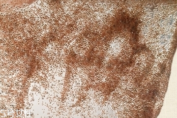 海藻面膜會發(fā)芽嗎？真的海藻面膜會發(fā)芽嗎？