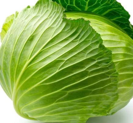 牛心菜能多吃嗎？牛心菜吃多了會怎樣？
