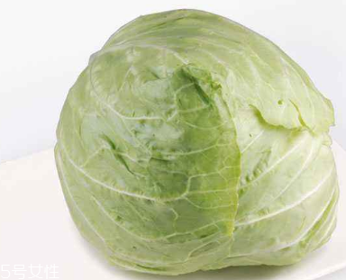 牛心菜能多吃嗎？牛心菜吃多了會怎樣？