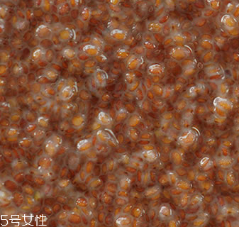 海藻面膜能加蜂蜜嗎？蜂蜜和海藻做面膜好嗎？
