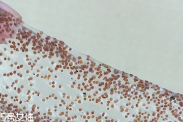 海藻面膜可以加維生素e嗎？海藻加維生素e可以用嗎？