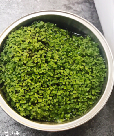 海藻面膜為什么會(huì)出膠？海藻面膜的膠是什么？
