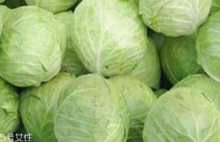 牛心菜是寒性還是熱性？牛心菜是寒性的嗎？