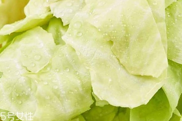牛心菜是寒性還是熱性？牛心菜是寒性的嗎？